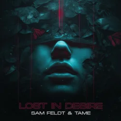 Pochette Sam Feldt & TAME - Lost In Desire