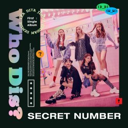 Pochette SECRET NUMBER - Who Dis
