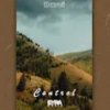 Pochette Davvi - Control Davvi - Control