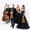 Pochette The String Quartet - Money The String Quartet - Money