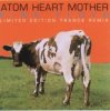 Pink Floyd & The Orb - Atom Heart Mother
