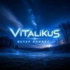 Pochette ViTaLiKuS - Ветер принёс... ViTaLiKuS - Ветер принёс...