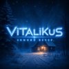 Pochette ViTaLiKuS - Зимний вечер ViTaLiKuS - Зимний вечер