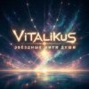 ViTaLiKuS - Звёздные нити души