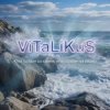 Pochette ViTaLiKuS - Кто создан из камня, кто создан из глины… ViTaLiKuS - Кто создан из камня, кто создан из глины…