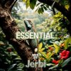 Jerbi - Fav Tracks Mix: ESSENTIAL || Uplifting Trance Mix