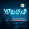 Pochette ViTaLiKuS - Ещё майская ночь ViTaLiKuS - Ещё майская ночь