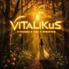 ViTaLiKuS - Я пришёл к тебе с приветом