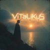 ViTaLiKuS - Юному поэту