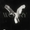 Pochette LONOWN & riserayss - worry (Slowed) LONOWN & riserayss - worry (Slowed)