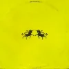 Pochette The Chainsmokers & Oaks - Wild The Chainsmokers & Oaks - Wild