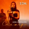 Pochette Alena Omargalieva & Дім Звукозапису - Стожари Alena Omargalieva & Дім Звукозапису - Стожари