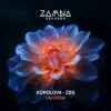 Pochette Korolova & ZSS - Universe Korolova & ZSS - Universe