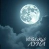 Pochette ViTaLiKuS - Луна ViTaLiKuS - Луна