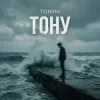 Pochette TONYM - Тону TONYM - Тону