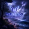 Pochette ViTaLiKuS - В Черноморьe ViTaLiKuS - В Черноморьe