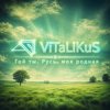 Pochette ViTaLiKuS - Гой ты, Русь, моя родная ViTaLiKuS - Гой ты, Русь, моя родная