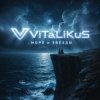 Pochette ViTaLiKuS - Море и звёзды ViTaLiKuS - Море и звёзды