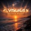 Pochette ViTaLiKuS - Летний вечер ViTaLiKuS - Летний вечер