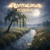 Pochette ViTaLiKuS - Родина ViTaLiKuS - Родина