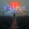 Pochette ViTaLiKuS - Те же росы, откосы, туманы… ViTaLiKuS - Те же росы, откосы, туманы…