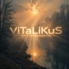 Pochette ViTaLiKuS - Безглагольность ViTaLiKuS - Безглагольность