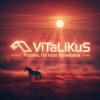 Pochette ViTaLiKuS - Родина. На поле Куликовом ViTaLiKuS - Родина. На поле Куликовом