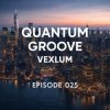 Pochette Vexlum - Quantum Groove 025 Vexlum - Quantum Groove 025