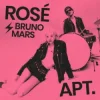 ROSÉ & Bruno Mars - APT (DJ XAN Remix)