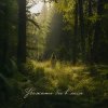 Pochette Anna Svet - Убежать бы в леса Anna Svet - Убежать бы в леса