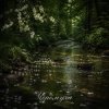 Pochette Anna Svet - Черёмуха Anna Svet - Черёмуха