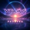 Pochette ViTaLiKuS - Разлука (Radio Remix) ViTaLiKuS - Разлука (Radio Remix)