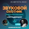 Звуковой Охотник - Радиошоу Выпуск #2