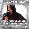 Pochette Dj Piligrim - Ты меня забудь Dj Piligrim - Ты меня забудь
