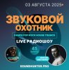 Pochette Звуковой Охотник - Радиошоу Выпуск #45 Звуковой Охотник - Радиошоу Выпуск #45
