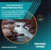 Pochette PavlikMaverick - Таинственная река PavlikMaverick - Таинственная река