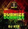 Pochette Dj Stp - Mek You Wine Slow Dj Stp - Mek You Wine Slow