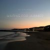 Pochette DJ Calypso - Waiting for Summer 2026 DJ Calypso - Waiting for Summer 2026