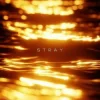 Pochette R3DN1K - Stray R3DN1K - Stray
