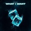 Pochette Ad Voca - What I Want Ad Voca - What I Want