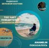 Anamelin - Показалось