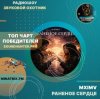 Pochette MXIMV - Раненое сердце MXIMV - Раненое сердце