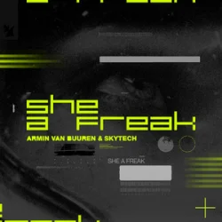 Pochette Armin van Buuren & Skytech - She A Freak