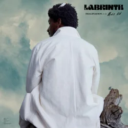 Pochette Labrinth - Mount Everest