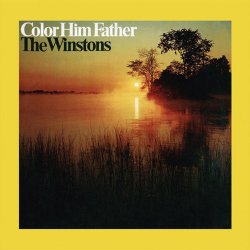 Pochette The Winstons - Amen, Brother