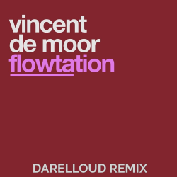 Pochette Vincent de Moor - Flowtation (Darelloud Remix)