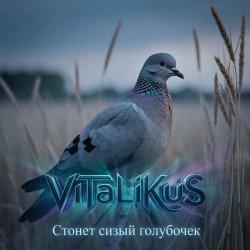 Pochette ViTaLiKuS - Стонет сизый голубочек