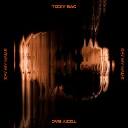 Pochette Tizzy Bac - The Thief Can't Be Excited