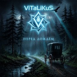 Pochette ViTaLiKuS - Перед дождём