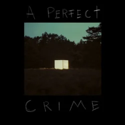 Pochette Kovacs - A Perfect Crime